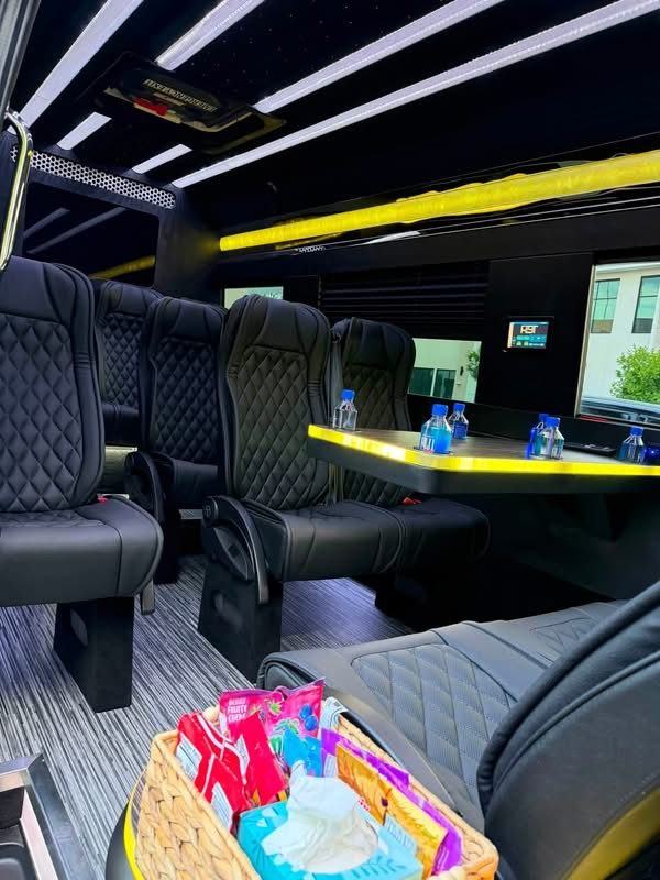 Mercedes Sprinter interior gold — Houston Limo Chauffeur